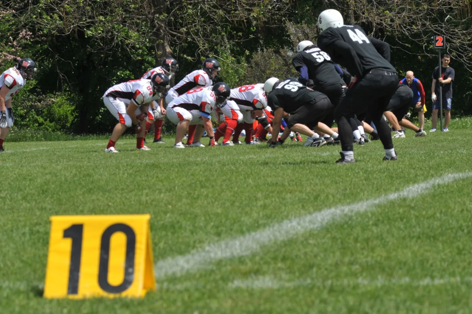 Bears open the season