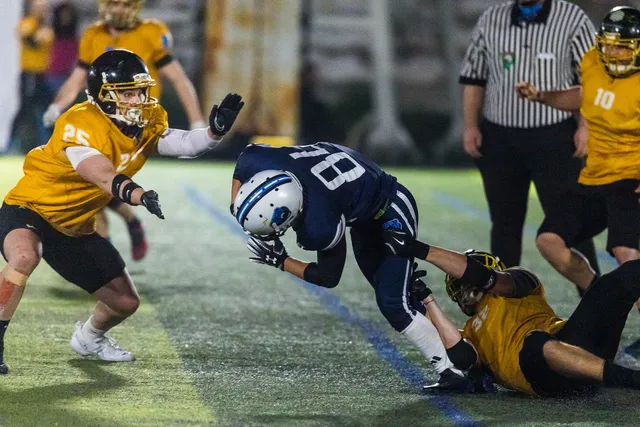 Photos: Sofia Bears 38:7 Sofia Knights