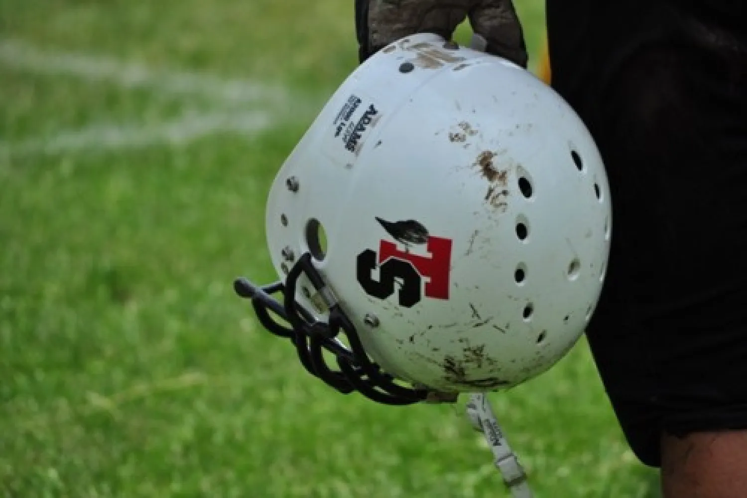 Sofia Bears finished an extremely successful season